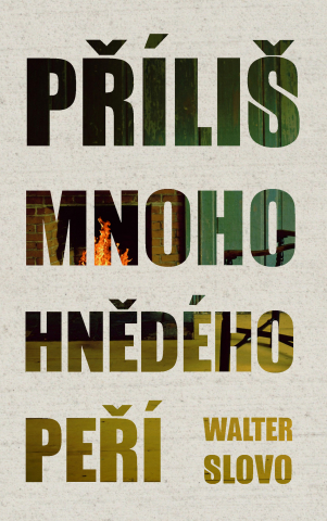 public://cover/cover_176597.jpg