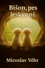 public://cover/cover_431292.jpg