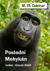 public://cover/cover_177939.jpg