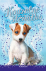 public://cover/cover_207668.jpg
