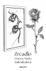 public://cover/cover_389042.jpg