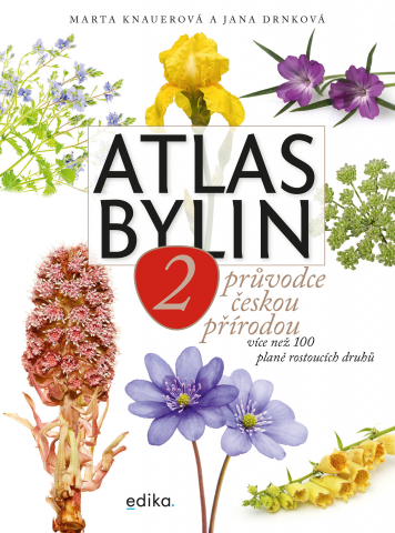 public://cover/cover_357538.jpg