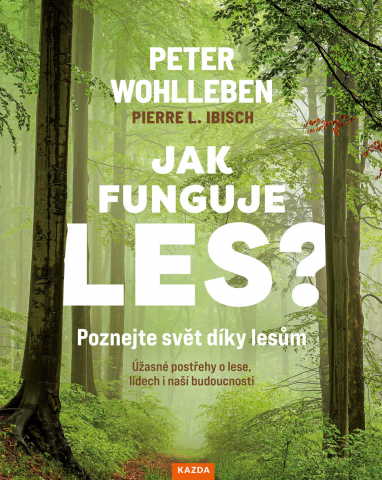 public://cover/cover_420619.jpg