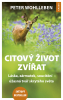 public://cover/cover_178132.jpg