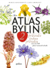 public://cover/cover_357538.jpg