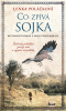 public://cover/cover_373384.jpg