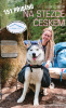 public://cover/cover_378565.jpg