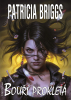 public://cover/cover_185537.jpg