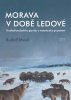 public://cover/cover_205830.jpg