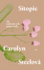public://cover/cover_356066.jpg