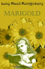 public://cover/cover_362928.jpg